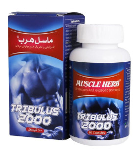 تریبولوس ماسل هرب 60 عددی